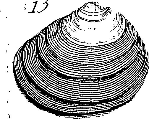 117/117040030003290_4.png