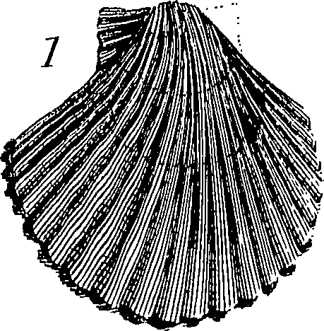 117/117040030003290_5.png