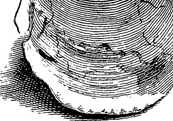 117/117040030003290_6.png