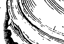 117/117040030003290_7.png