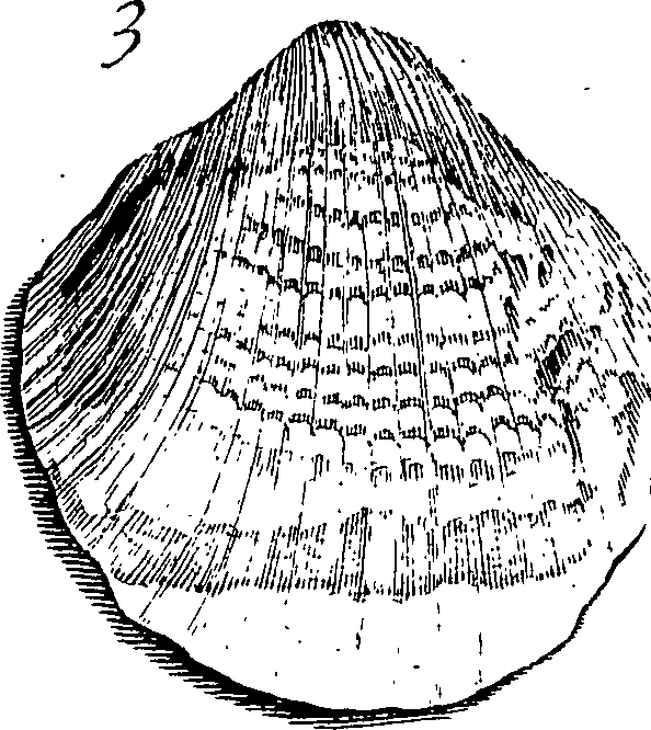 117/117040030003290_8.png