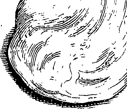 117/117040030003320_0.png