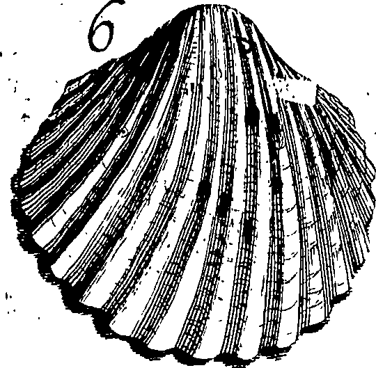 117/117040030003320_3.png
