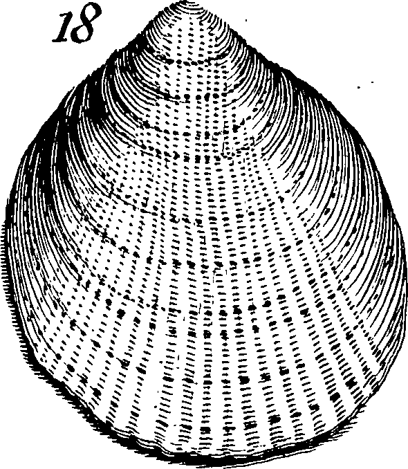 117/117040030003320_4.png