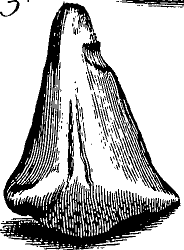117/117040030003350_0.png