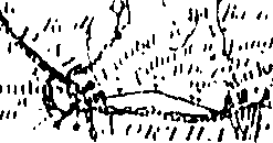117/117040060000250_0.png