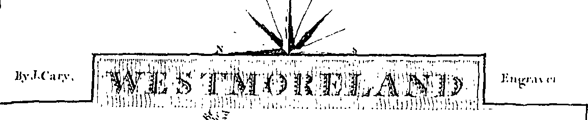 117/117040060000410_0.png