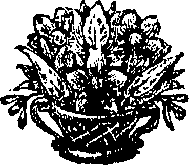 117/117060260000020_0.png