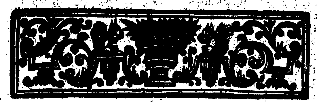117/117070050000020_2.png