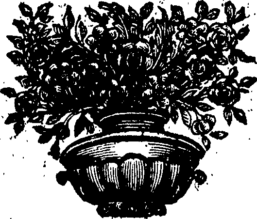 117/117070150000010_0.png