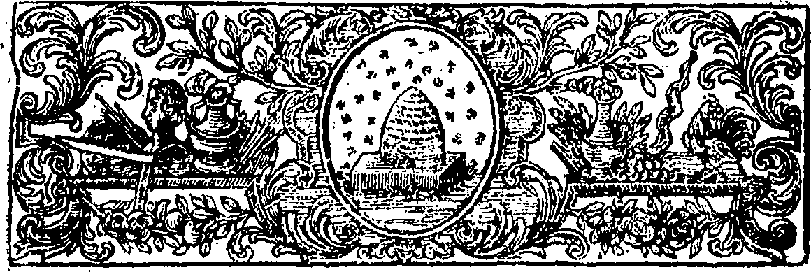 117/117070150000030_1.png