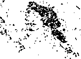 117/117080230000010_2.png