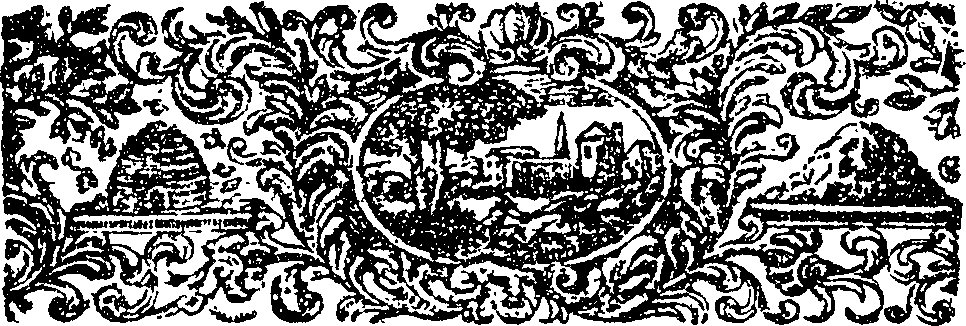 117/117160040000020_0.png
