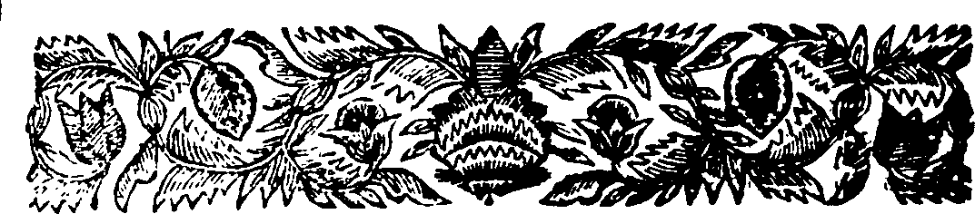 117/117170030000080_2.png