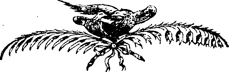 117/117180060000020_1.png