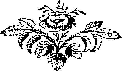 117/117180060000960_0.png