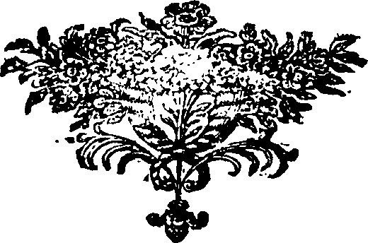 117/117210030001650_0.png