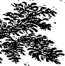 117/117210060000010_0.png