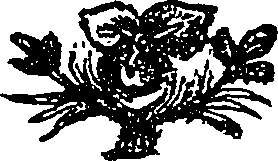 117/117210060000510_0.png