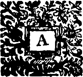 117/117250030000460_0.png