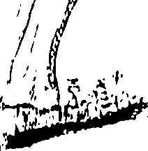 117/117250030001790_0.png