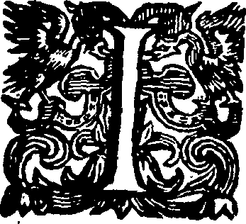 117/117250100000060_0.png