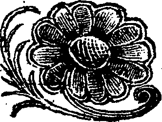 117/117260120000860_0.png