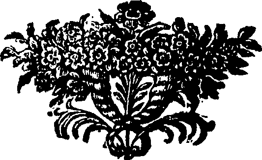 117/117270080001600_0.png