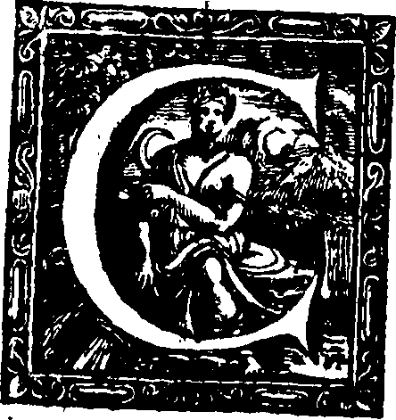 117/117280040000030_0.png