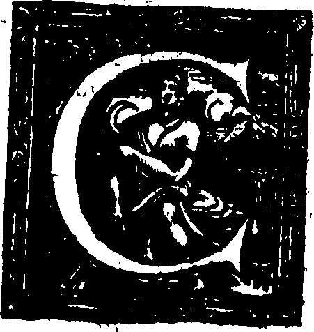 117/117280040002050_1.png