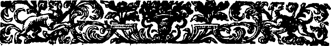 117/117280040005320_0.png