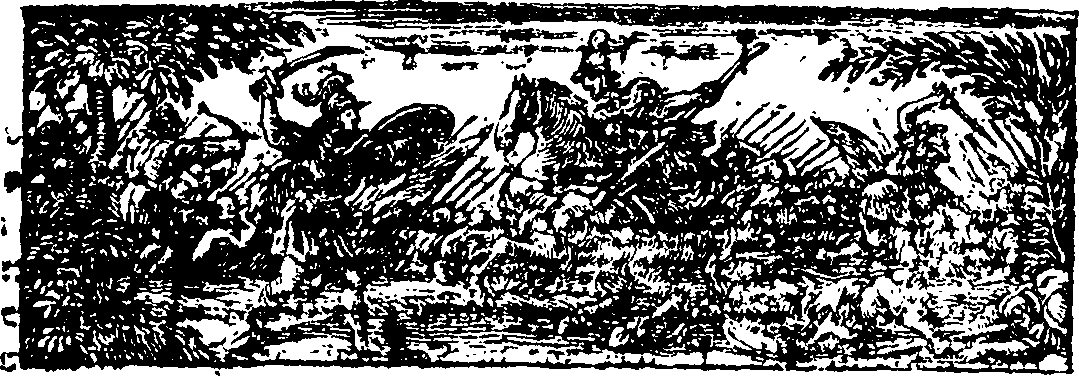 117/117280050000210_1.png