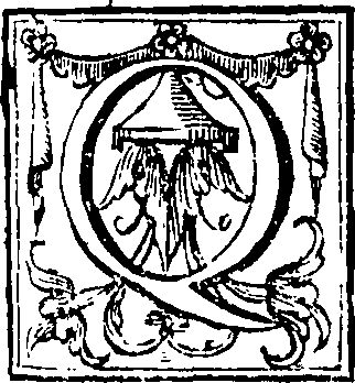 117/117280050000560_0.png