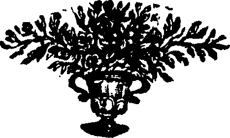 117/117280050005270_0.png