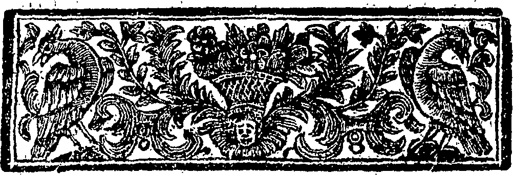 117/117340170000420_1.png