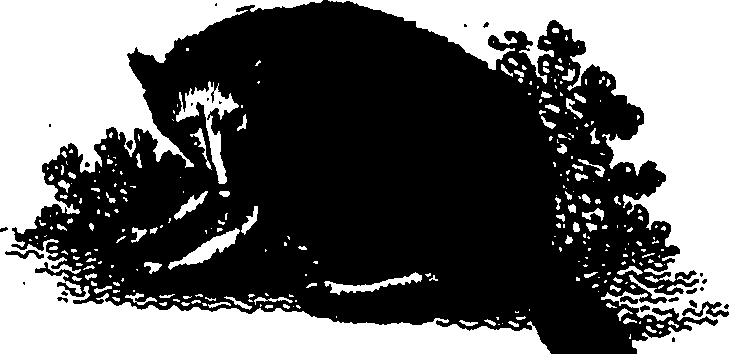 117/117360020001200_0.png