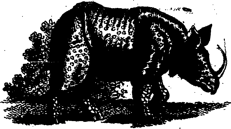 117/117360020001200_1.png