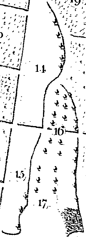 117/117370010100370_3.png