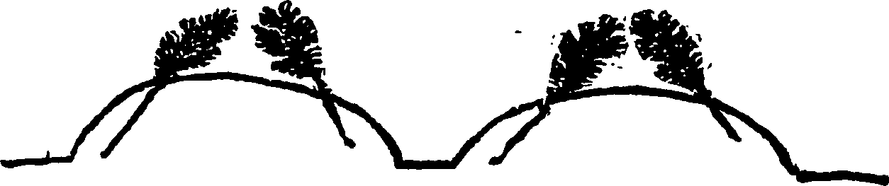 117/117370010100630_0.png