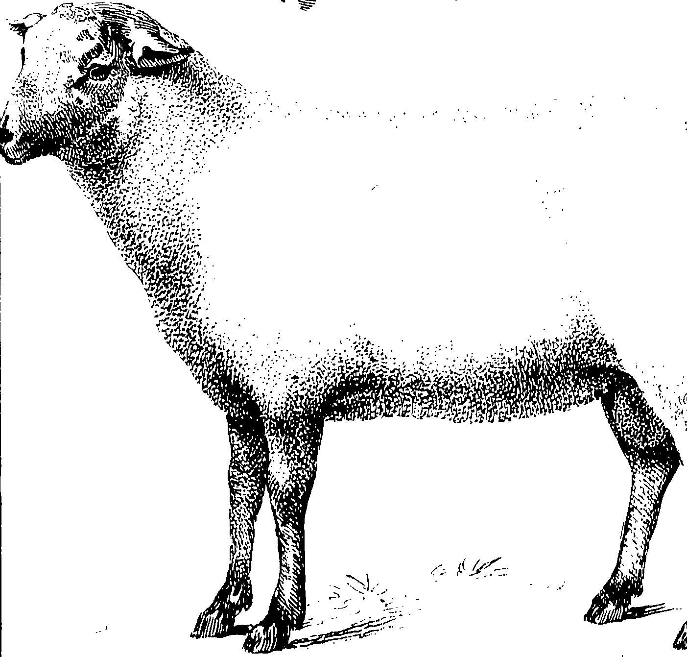 117/117370010204900_0.png