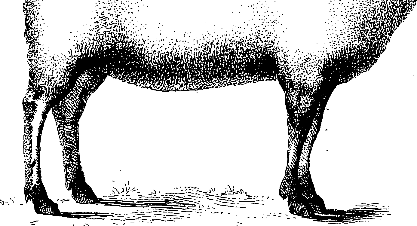 117/117370010204900_1.png