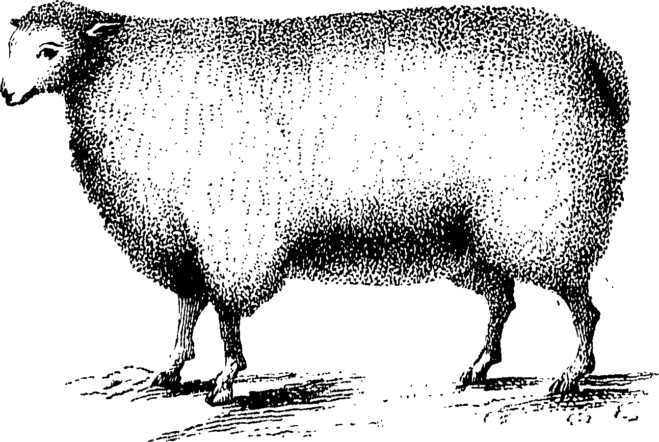 117/117370010204910_0.png