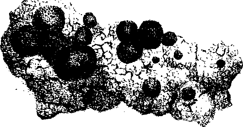 117/117380010304400_1.png
