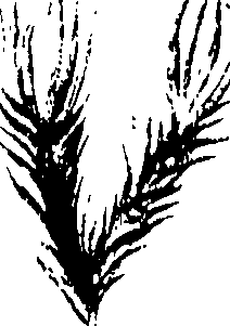 117/117380010304410_0.png