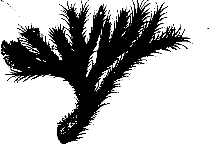 117/117380010304410_1.png
