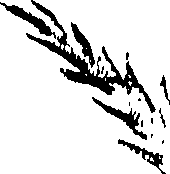 117/117380010304580_0.png