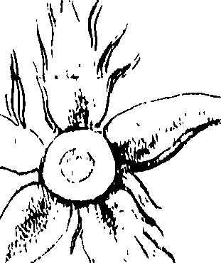 117/117380010304580_1.png