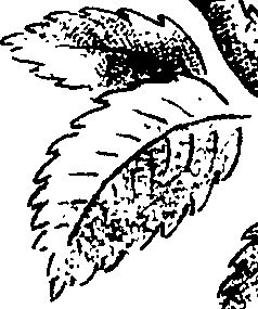 117/117380010304580_2.png