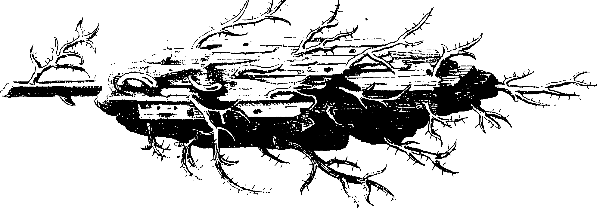 117/117380010304720_0.png
