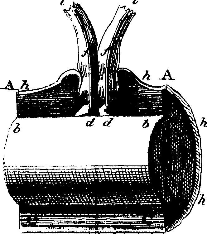 117/117380010304740_0.png